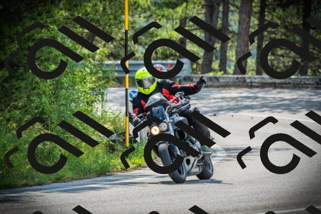 202506221003-DSC02920_c1_