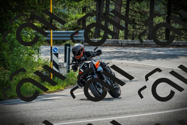 202506221008-DSC02954_c1_