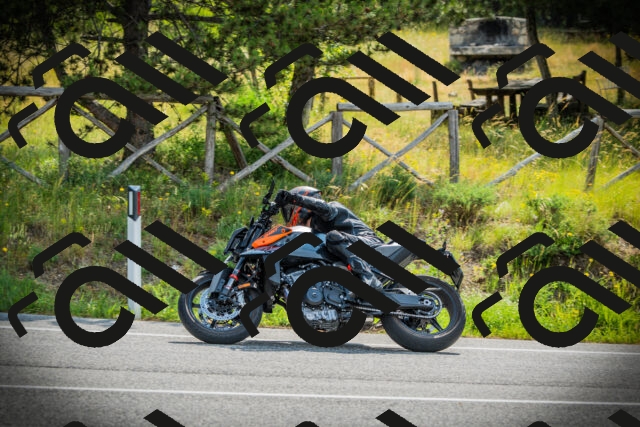 202506221008-DSC02955_c1_