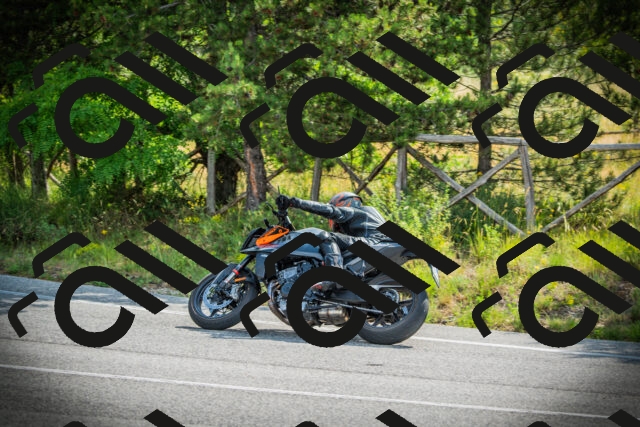 202506221008-DSC02956_c1_