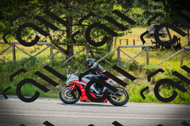 202506221010-DSC02973_c1_