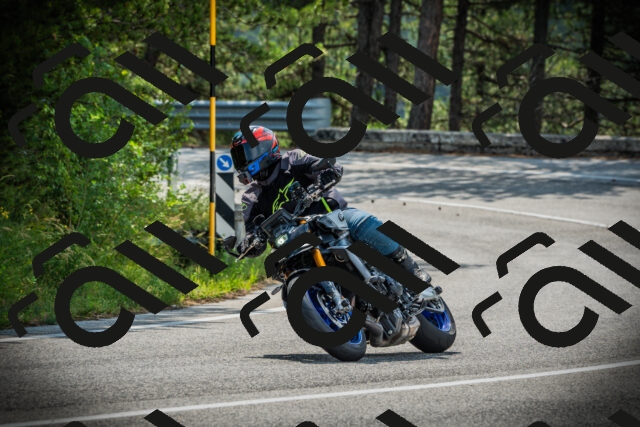 202506221011-DSC02977_c1_