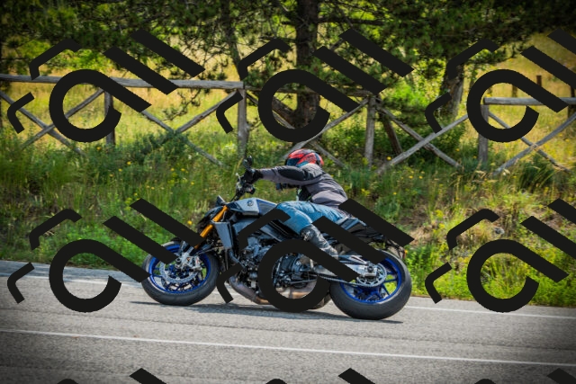 202506221011-DSC02978_c1_