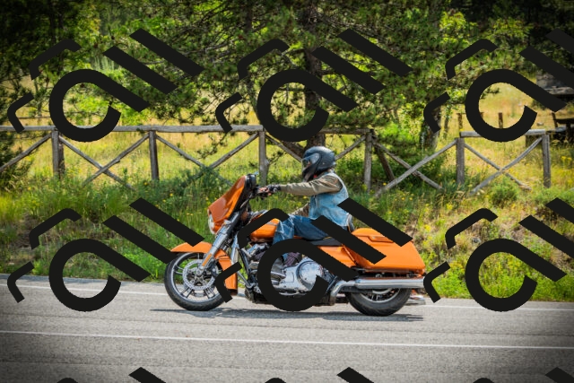 202506221029-DSC03163_c1_