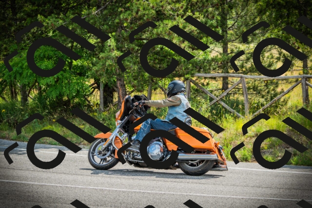 202506221029-DSC03164_c1_