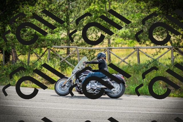 202506221030-DSC03169_c1_