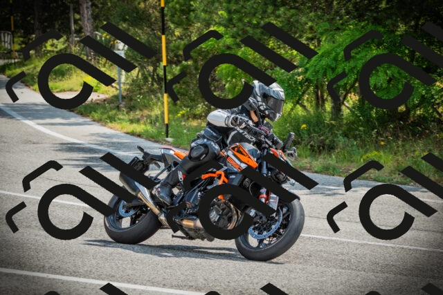 202506221030-DSC03174_c1_