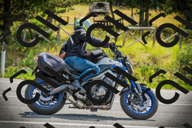 202506221030-DSC03177_c1_