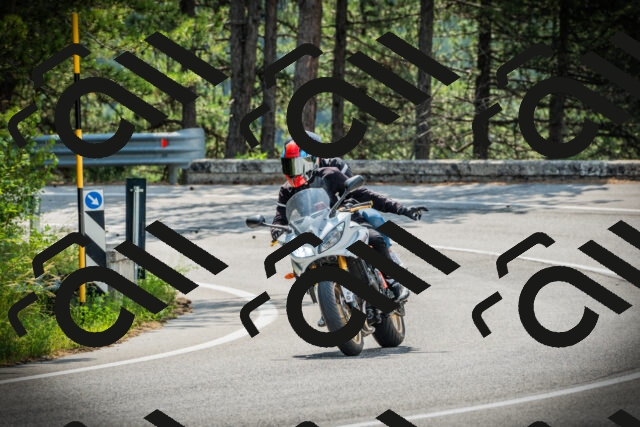 202506221030-DSC03182_c1_