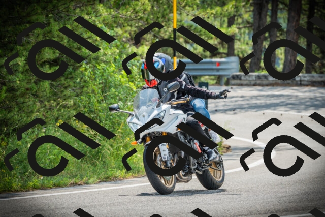 202506221030-DSC03183_c1_