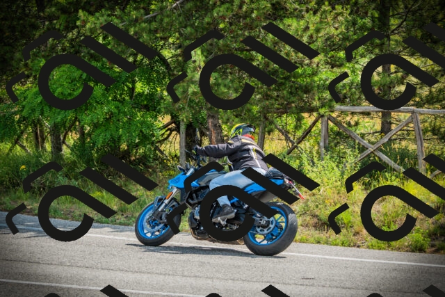 202506221037-DSC03201_c1_