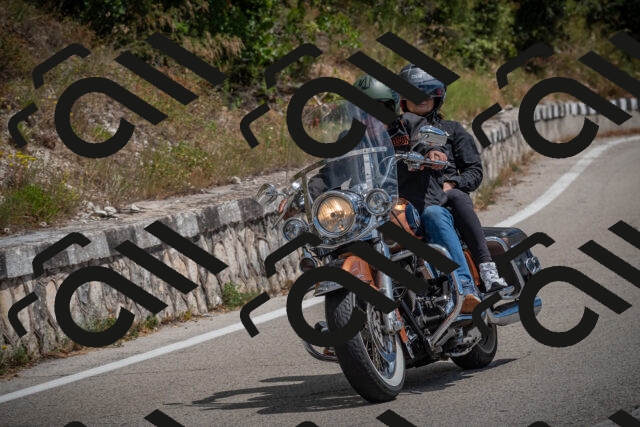 20250629113820-_5005115_am_