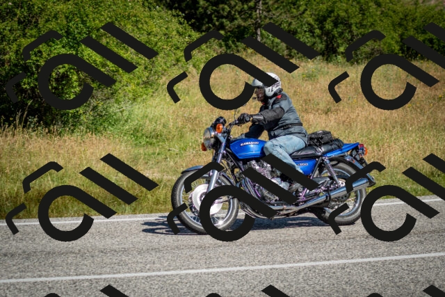 202506281025-DSC_1060_c2