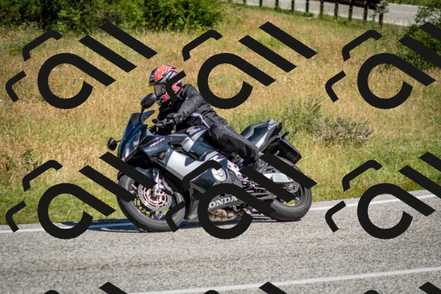 202506281036-DSC_1101_c2