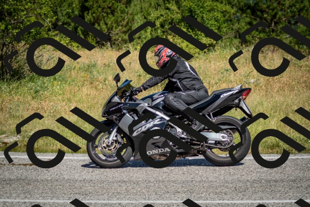 202506281036-DSC_1102_c2