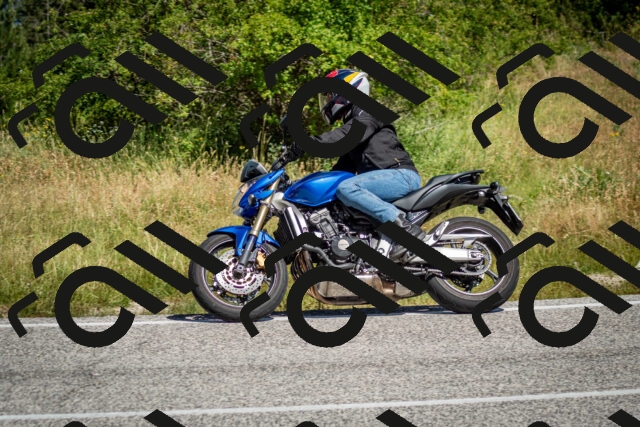 202506281052-DSC_1142_c2