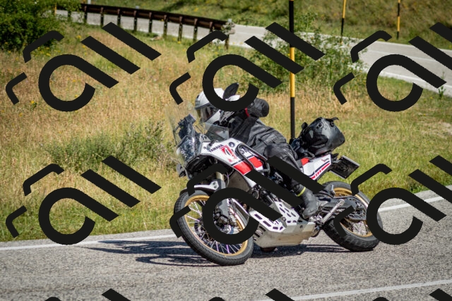 202506281052-DSC_1145_c2