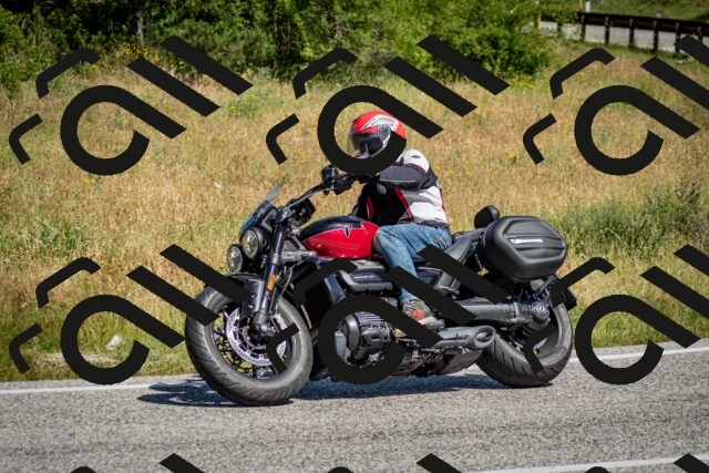 202506281054-DSC_1149_c2