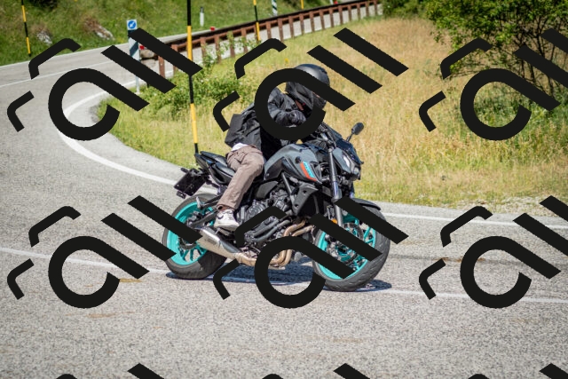 202506281055-DSC_1154_c2