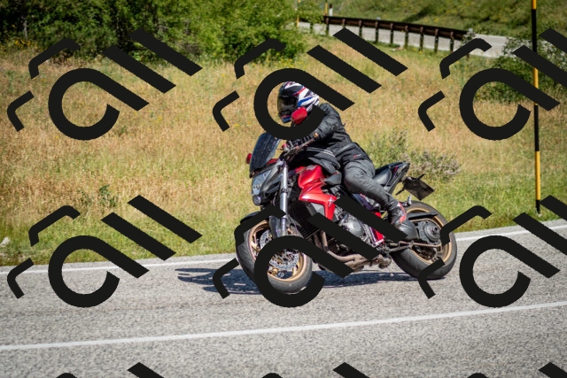 202506281100-DSC_1168_c2