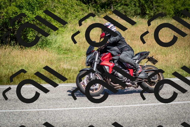 202506281100-DSC_1169_c2