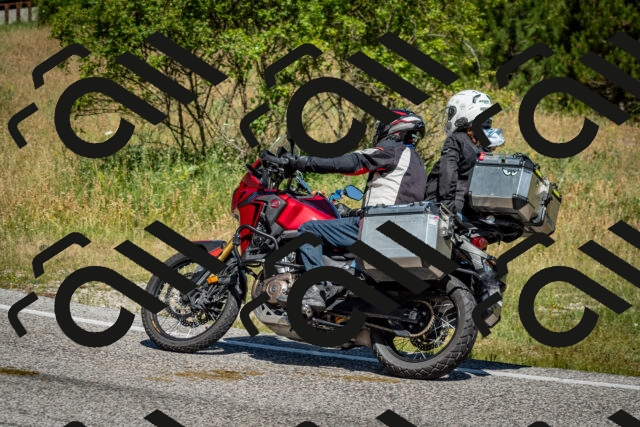 202506281106-DSC_1208_c2