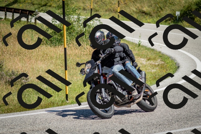 202506281109-DSC_1216_c2