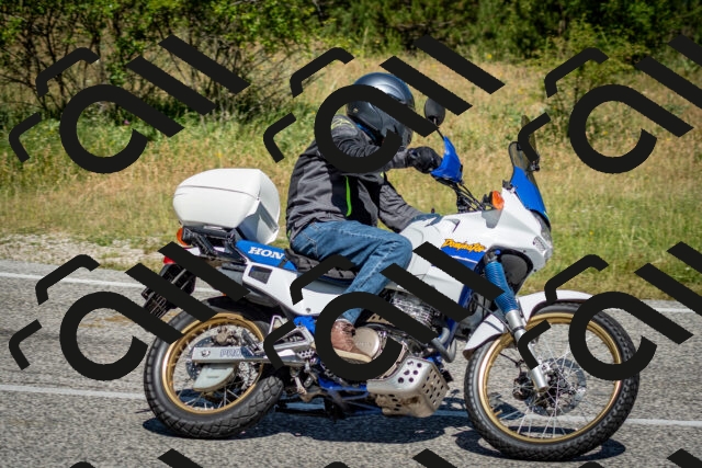 202506281111-DSC_1249_c2