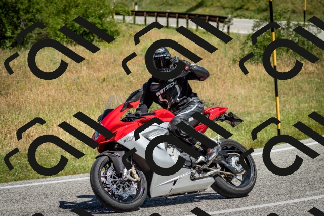 202506281111-DSC_1254_c2