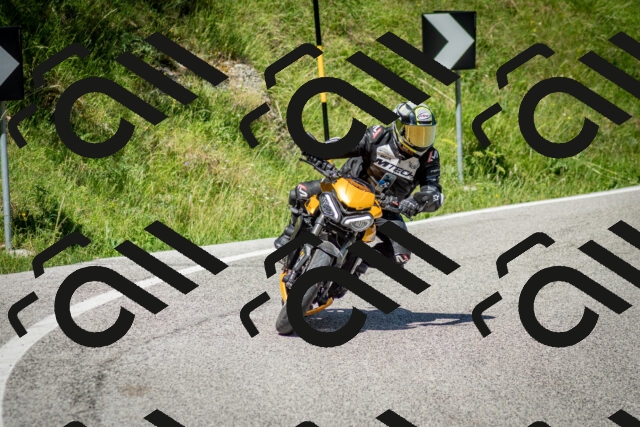 202506281114-DSC_1277_c2