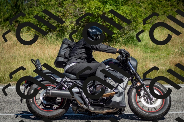 202506281114-DSC_1282_c2