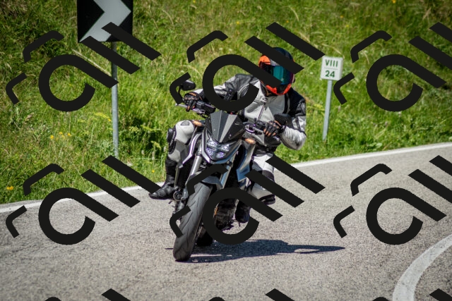 202506281117-DSC_1325_c2