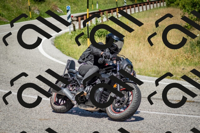 202506281117-DSC_1328_c2