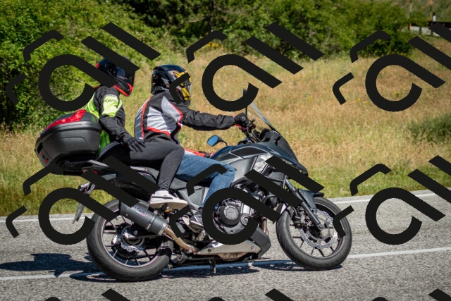 202506281118-DSC_1335_c2