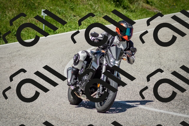 202506281122-DSC_1357_c2