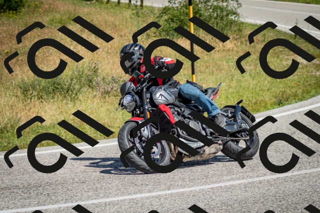 202506281122-DSC_1364_c2