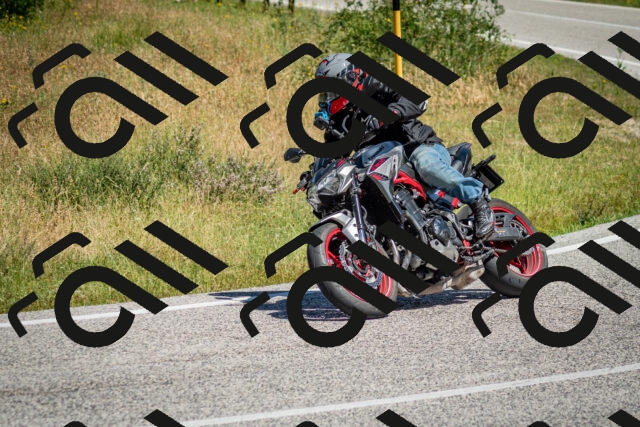 202506281125-DSC_1376_c2