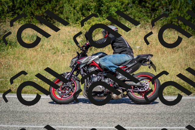 202506281125-DSC_1377_c2