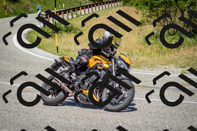 202506281128-DSC_1411_c2