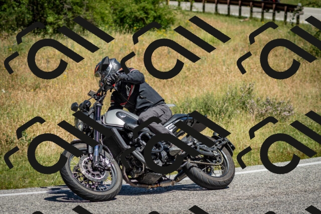 202506281128-DSC_1420_c2