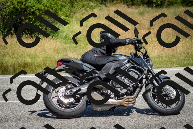 202506281128-DSC_1431_c2