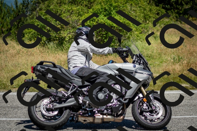 202506281128-DSC_1437_c2