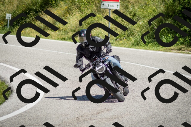 202506281128-DSC_1438_c2