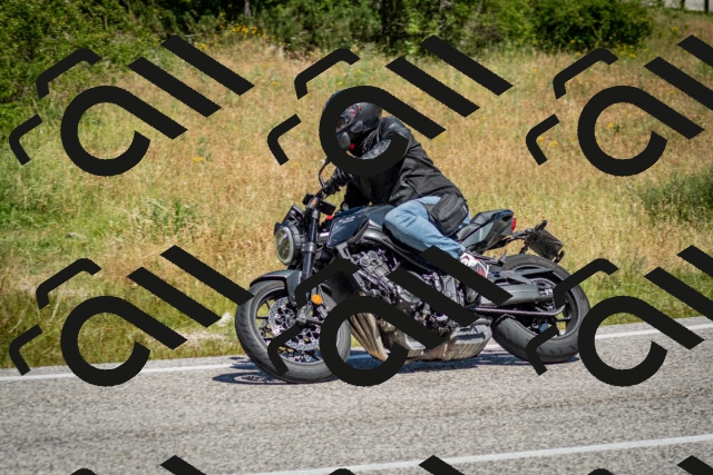 202506281129-DSC_1439_c2