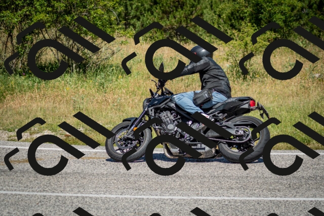 202506281129-DSC_1440_c2