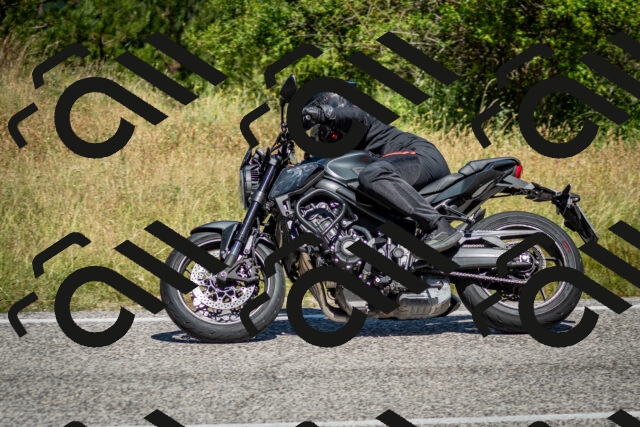 202506281130-DSC_1450_c2