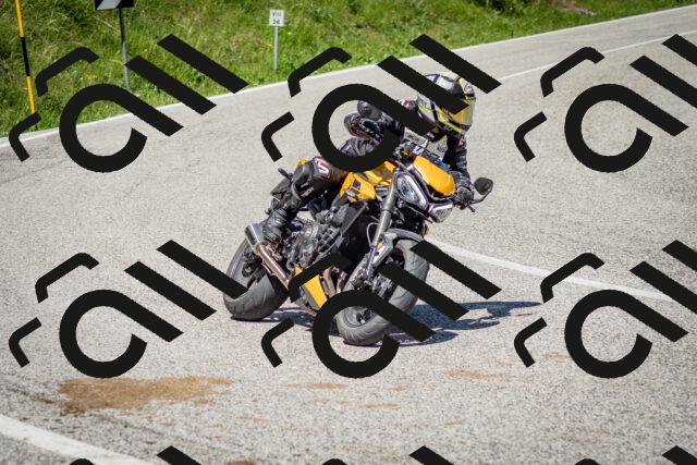 202506281130-DSC_1454_c2