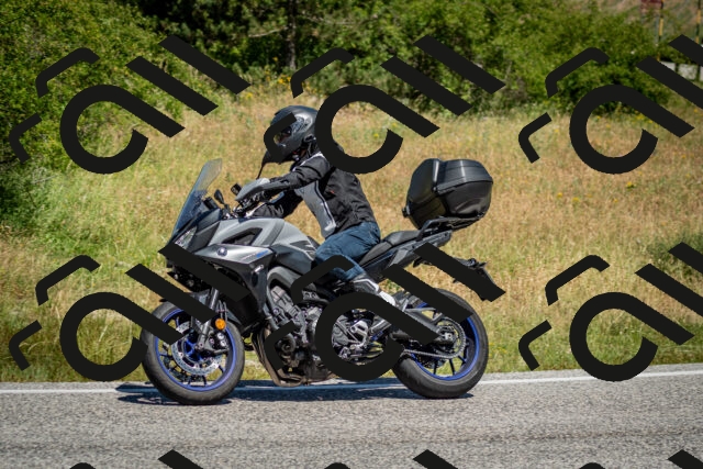 202506281132-DSC_1467_c2