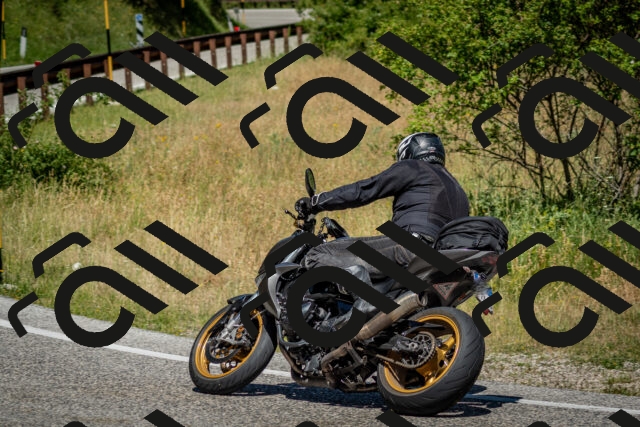 202506281135-DSC_1481_c2