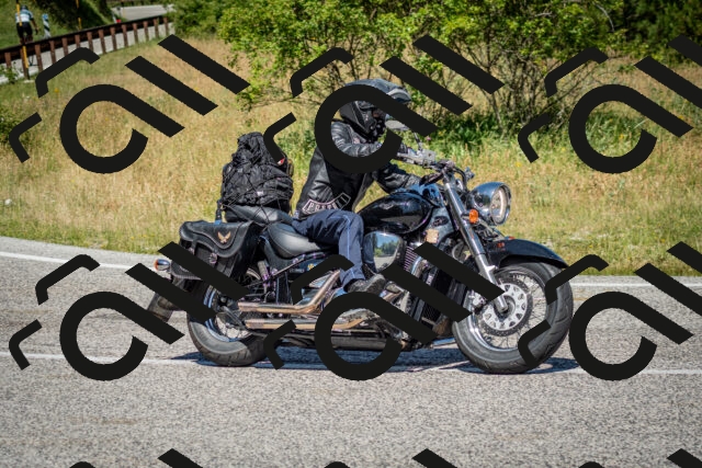 202506281139-DSC_1508_c2